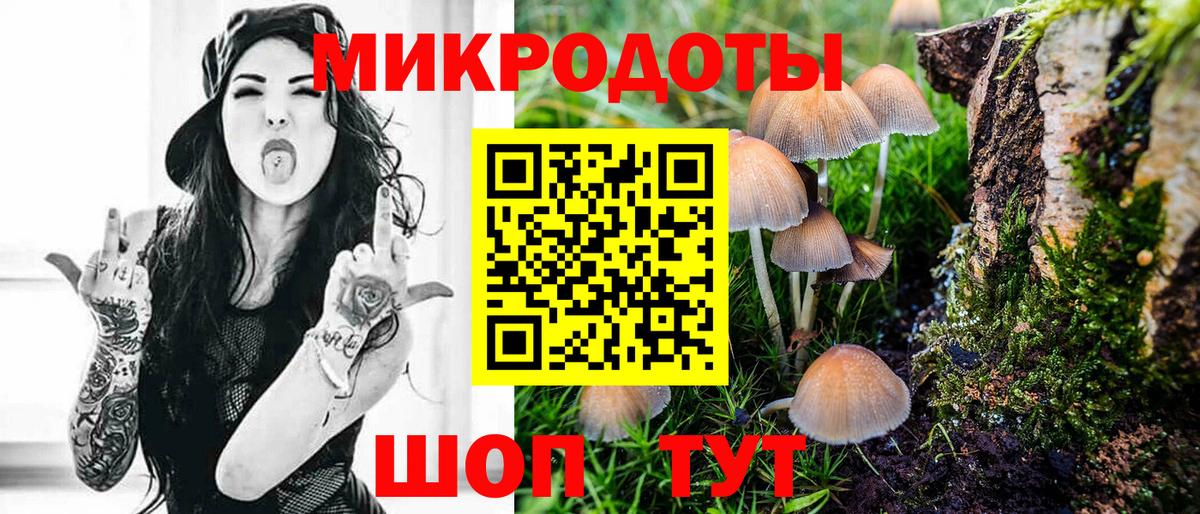 Псилоцибиновые грибы ЛСД  Вход с VPN  Рассказово  Псилоцибиновые грибы Psilocybine cubensis 